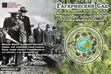 Кедры во имя Жизни