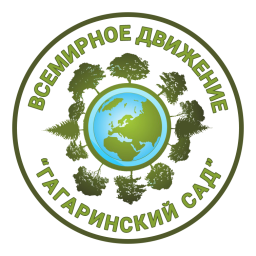 Заставки к проектам, анонсы, шаблоны
